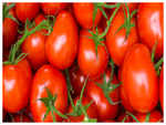 ​Tomatoes