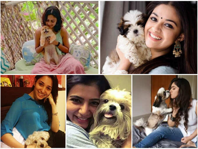 Samantha to Tamannaah, these actresses are beating the quarantine blues in  the company of their pets | The Times of India