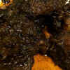 Mutton Tash