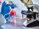 What are the other trials and vaccine developments happening in the country?