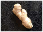 ​Benefits of ginger