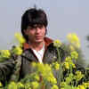 Article image for: New pictures of <i class="tbold">dilwale dulhania le jayenge</i>