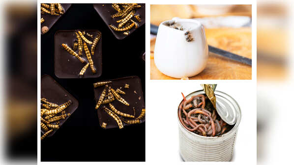 Popular foods that contain bugs secretly!