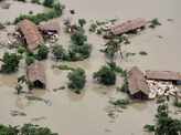 Assam: These pictures show how floods affected the wildlife over the years