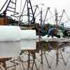 Fishermen all set for resumption of fishing operations using mechanised boats from Kasimedu fishing harbour, Chennai after a gap of four months.