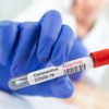 Article image for: Sinovac Biotech has already started <i class="tbold">phase 3</i> trials of CoronaVac