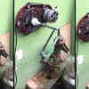 Article image for: Desi tubewell: How to pull out water from handpump with a <i class="tbold">jugaad</i>
