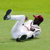 Roach's terrific catch that ended Sibley's stay