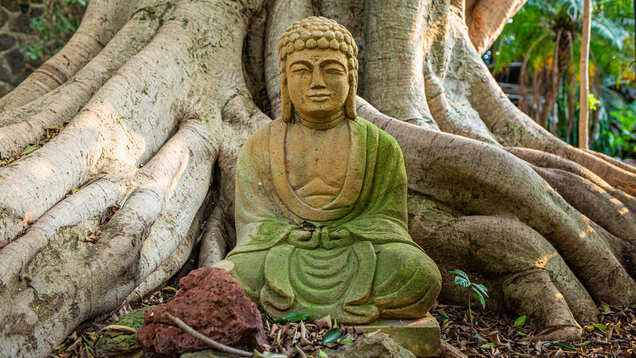 Ministry of Tourism taking initiatives to boost Buddhist tourism in India