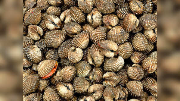 Shellfish