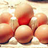 Eggs