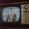 Article image for: <i class="tbold">shakuntala devi</i>