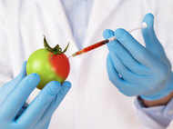 What are GM Foods and how have they secretly become part of our diet