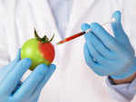 What are GM Foods and are we unknowingly consuming them?