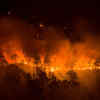 Article image for: Check out our latest images of <i class="tbold">wildfires</i>
