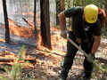 Massive wildfires in Siberia engulf area larger than Greece