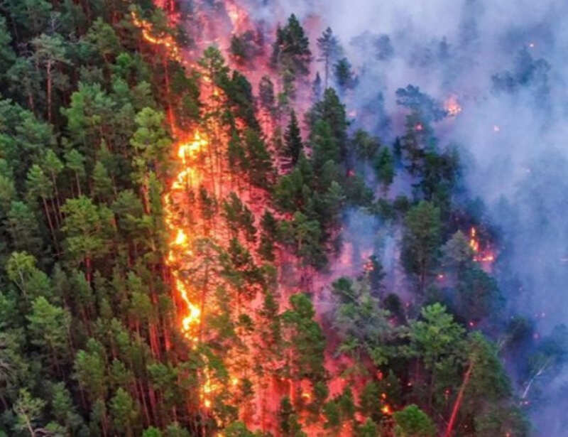 Wildfires in Siberia burn an area larger than Greece