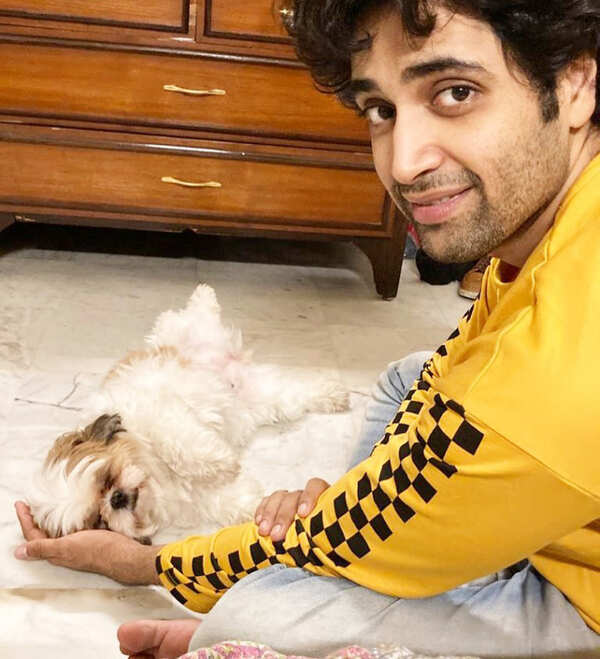 Adivi Sesh