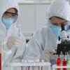 Antibody levels show encouraging results, says an expert