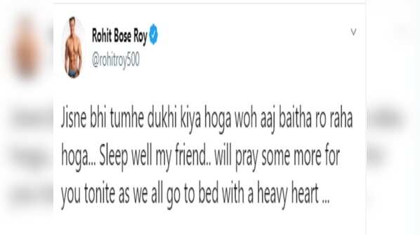 Rohit Bose Roy