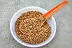 Methi seeds