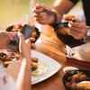 What are the other things the diet plan takes care of?