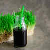 Helps with digestion