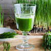 Benefits of Wheatgrass