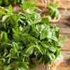 Article image for: <i class="tbold">fenugreek</i>