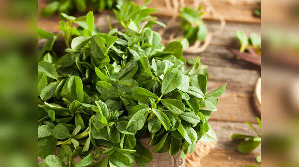 Fenugreek
