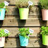 Importance of fresh herbs