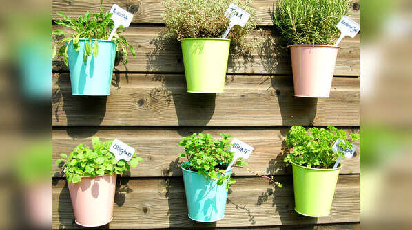 Importance of fresh herbs