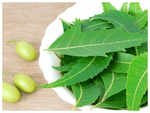 Amazing culinary uses of neem leaves