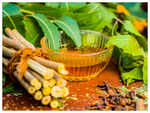 ​Why Neem is used in several dishes?