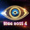 Bigg Boss Telugu season 4 first look