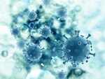 Focus on immunity, say authorities