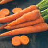 ​Carrot