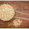 ​Rich in protein