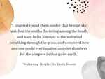 'Wuthering Heights' by Emily Bronte