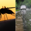 5 Infections That Are Common During Monsoon And Ways To Prevent Them ...