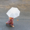 ​Why people are more prone to getting sick during monsoon season