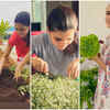 Samantha - ​Hone your green thumb