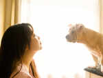 What your choice of dog breed tells about your personality