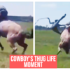 Article image for: Yeehaw: Cowboy’s <i class="tbold">thug life</i> moment