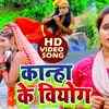 Article image for: Krishna Janmashtami Song : Watch New Krishna Song '<i class="tbold">kanha</i> Ke Viyog' Sung By Soni Pandey