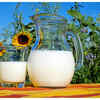 ​Dairy Products