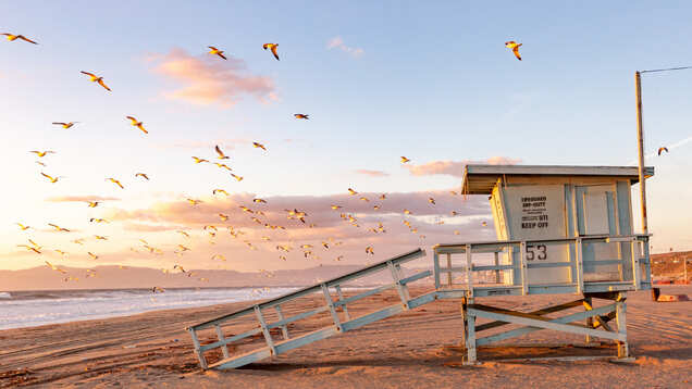Santa Monica through timeless Hollywood films