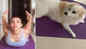 Malaika Arora leaves the internet in splits as she shares a picture collage of herself and pet dog Casper doing different forms of yoga!