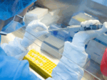​Where will the Oxford vaccine trial be conducted?