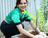 Pictures of celebs participating in &lsquo;Green India Challenge&rsquo; will inspire you to plant a sapling